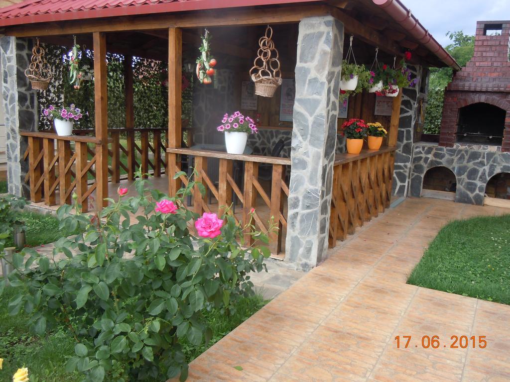 Pensiunea Marina Câmpina Exterior foto